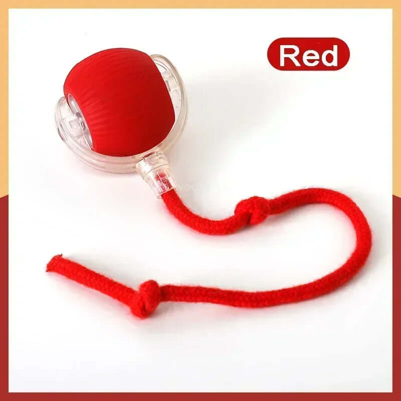 Rechargeable Smart Interactive Pet Rolling Ball Toy - FurryZone