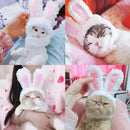 Rabbit Headgear for Cats - FurryZone