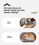 Rechargeable Smart Interactive Pet Rolling Ball Toy - FurryZone