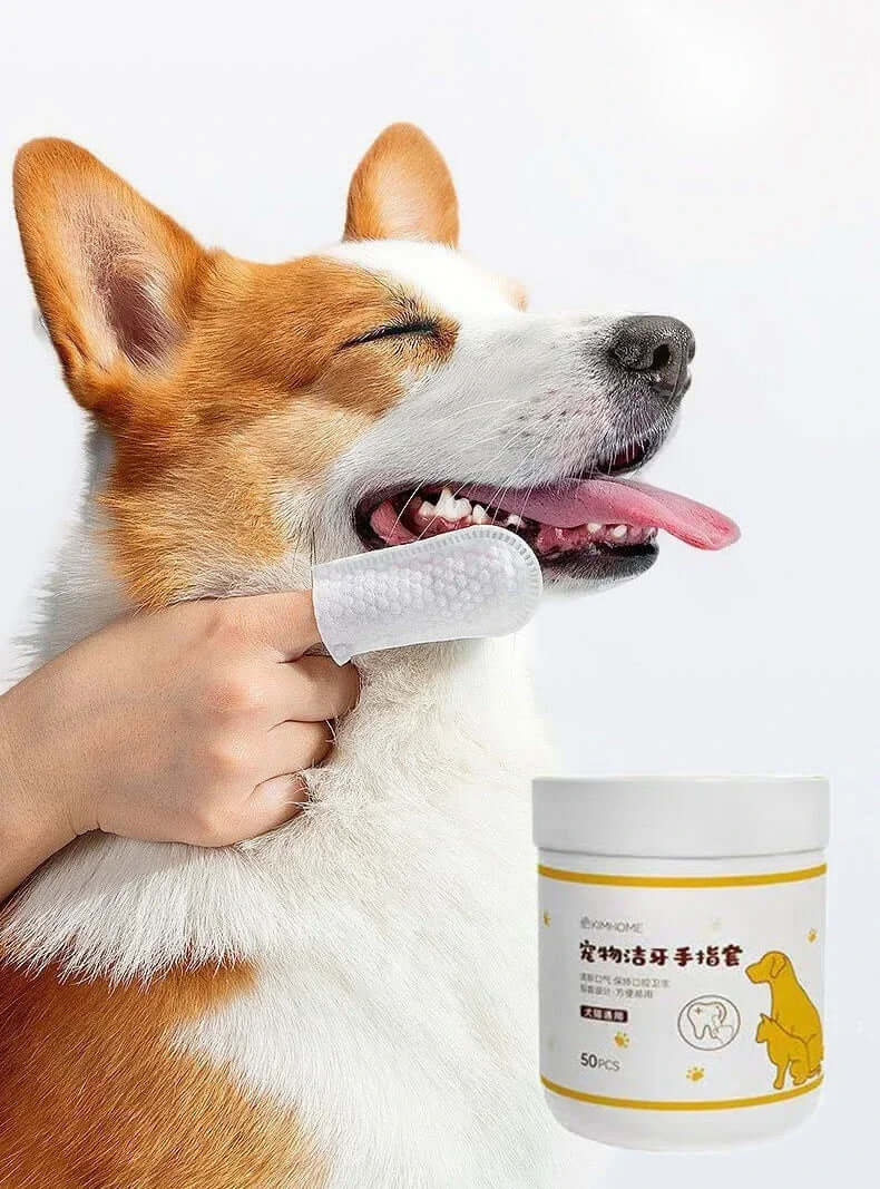 Pet Disposable Cleaning Wipes - FurryZone