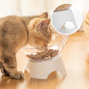 Non-Slip Pet Food & Water Bowl with Stand - FurryZone