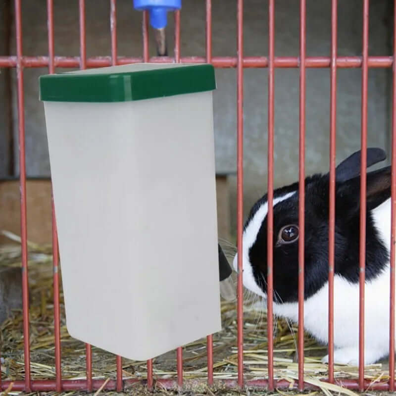 Rabbit Water Dispenser - FurryZone