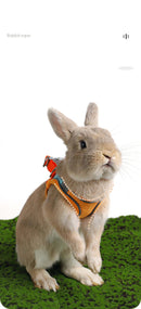 Rabbit Harness and Leash Set - FurryZone