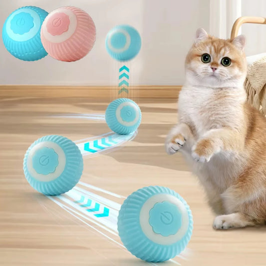 Magic Cat Ball Toy