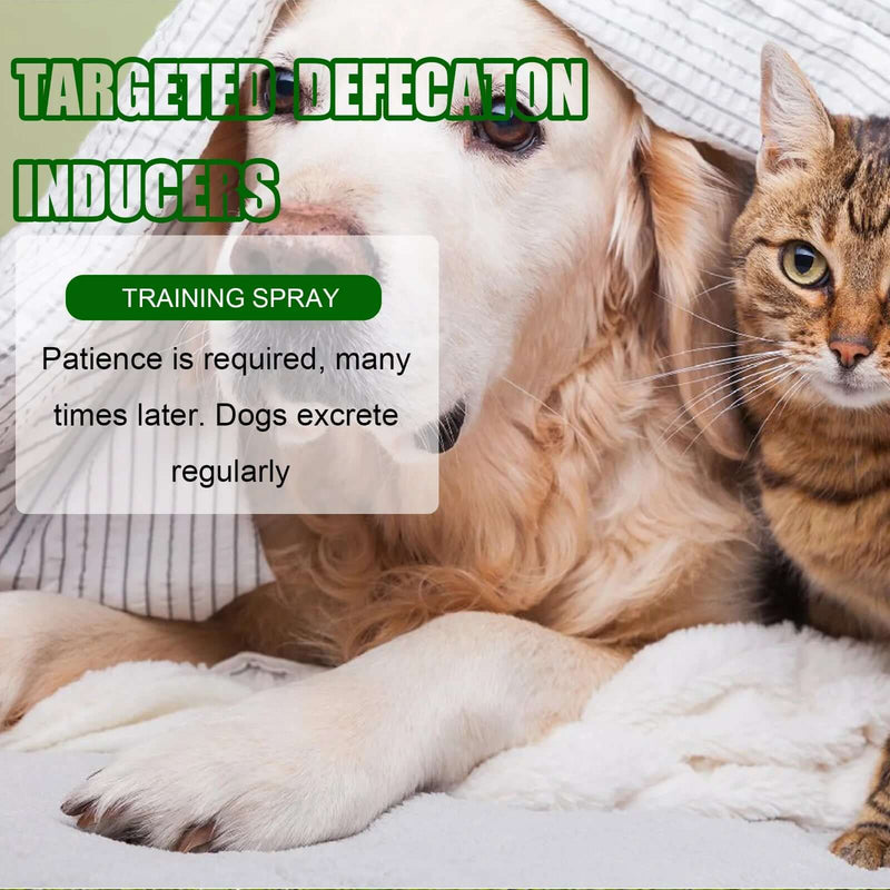 Pet Toilet Training Spray Inducer Dog Poops - FurryZone
