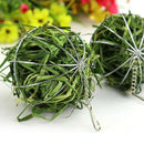 Stainless Steel Rabbit Hay Ball - FurryZone