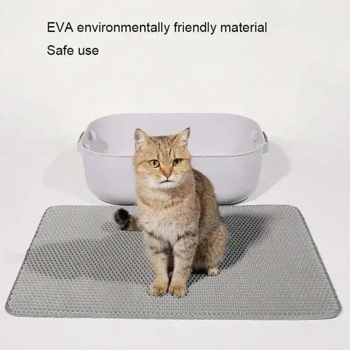 EVA Double Layer Cat Litter Mat FurryFancy
