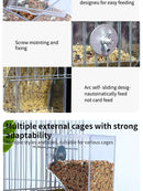 Parrot Bird Feeder - FurryZone