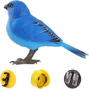 Electronic Singing Bird Toy - FurryZone