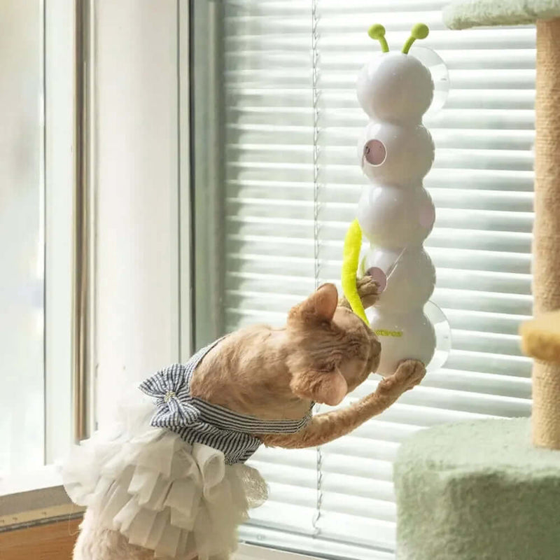 Interactive Caterpillar Cat Toy - FurryZone