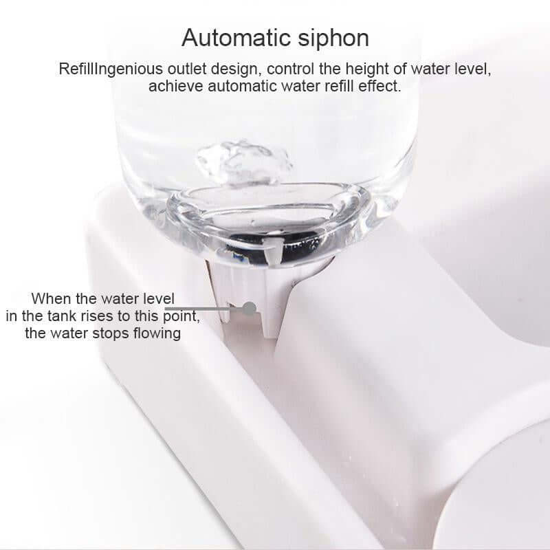 Automatic Pet Feeder & Water Bowl for Dogs and Cats FurryZone