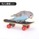 Bird Training Toy Set - FurryZone