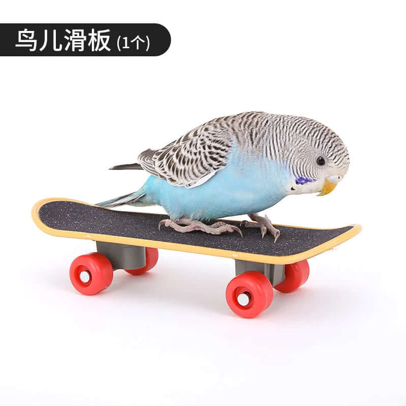 Bird Training Toy Set - FurryZone