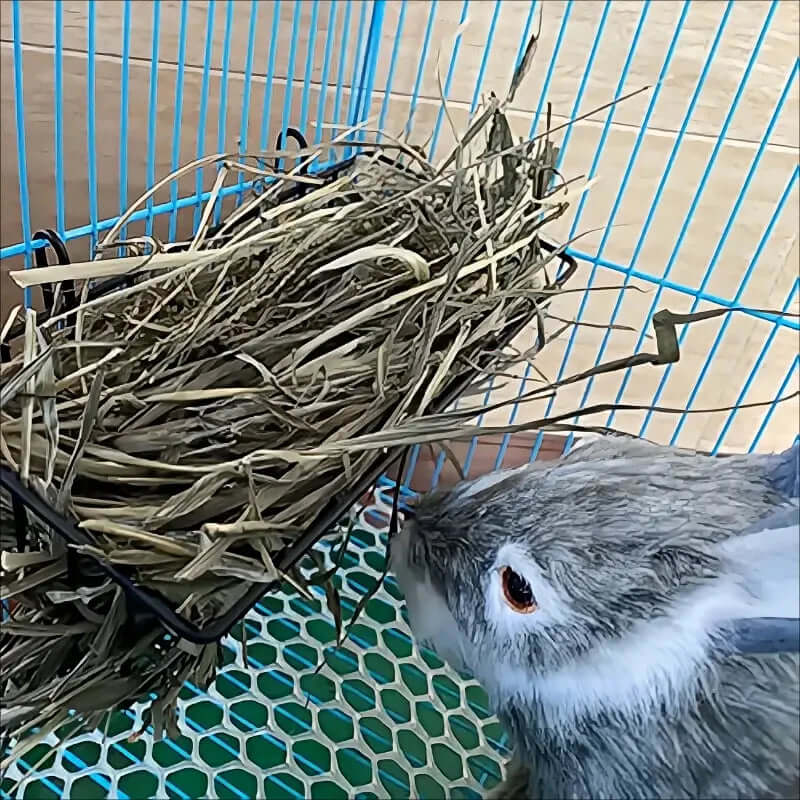 Rabbit Hay Feeder - FurryZone