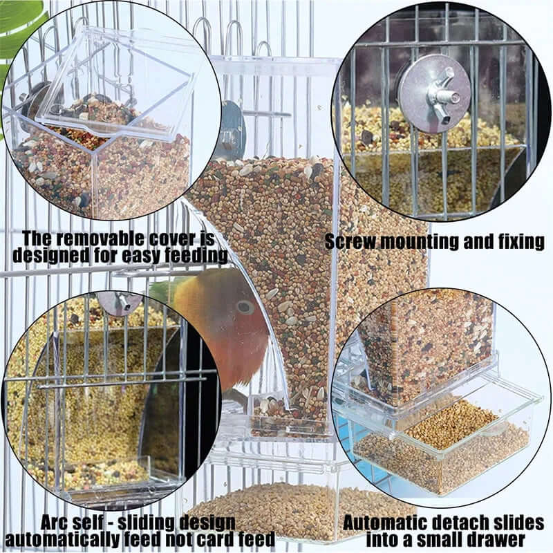 Parrot Bird Feeder - FurryZone