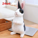 Simulation Kawaii Long-Eared Realistic Rabbit Plush Toy - FurryZone