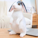 Realistic Kawaii Rabbit Plush - FurryZone