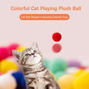 Cat Toys Interactive Launch Training - FurryZone