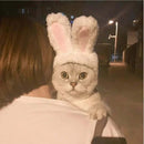 Rabbit Headgear for Cats - FurryZone