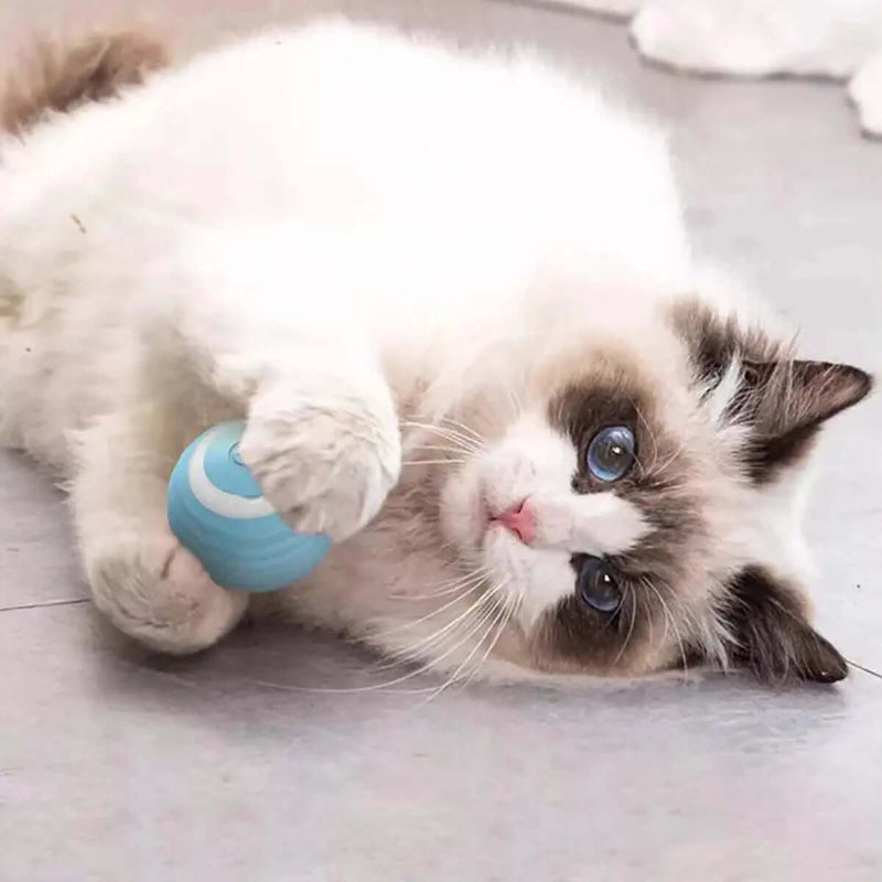Magic Cat Ball Toy FurryZone