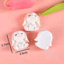 10pcs Carrot Rabbit Resin Flat Back Embellishments - FurryZone