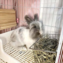 Rabbit Hay Feeder - FurryZone