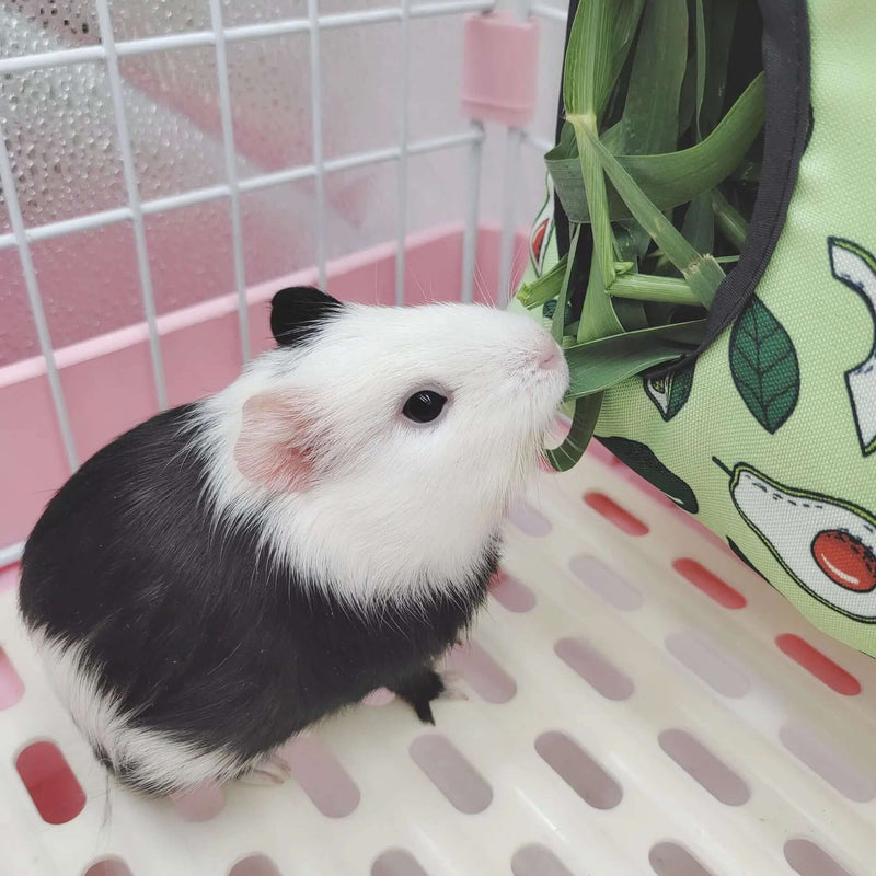 Rabbit Hay Bag - FurryZone