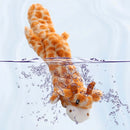 Plush Sounding Animal Dog Toy - FurryZone