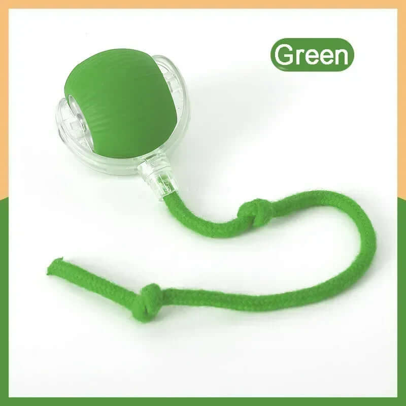 Rechargeable Smart Interactive Pet Rolling Ball Toy - FurryZone
