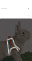Rabbit Harness and Leash Set - FurryZone