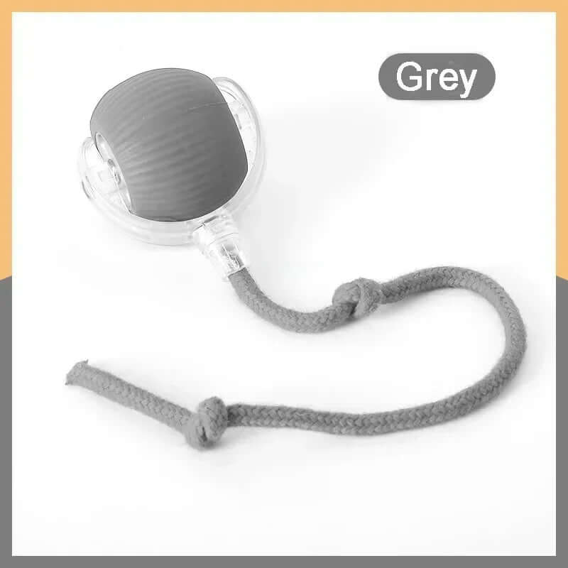 Rechargeable Smart Interactive Pet Rolling Ball Toy - FurryZone