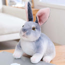 20cm Realistic Rabbit Plush Toy - FurryZone
