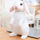 Realistic Kawaii Rabbit Plush - FurryZone