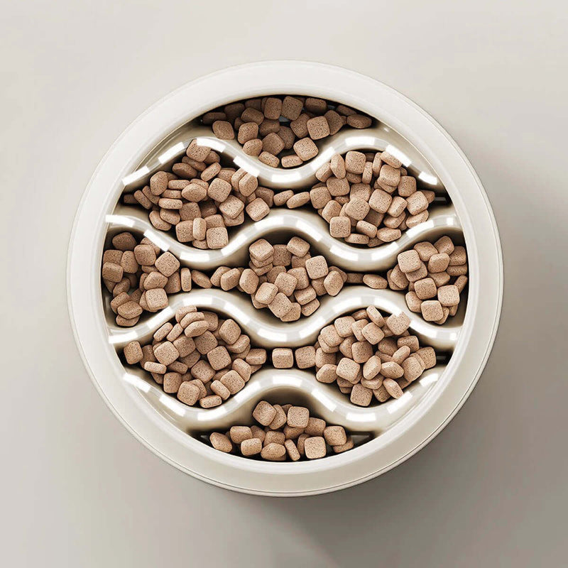 Pet Slow Feeding Bowl - FurryZone