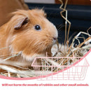 Rabbit Hay Rack - FurryZone