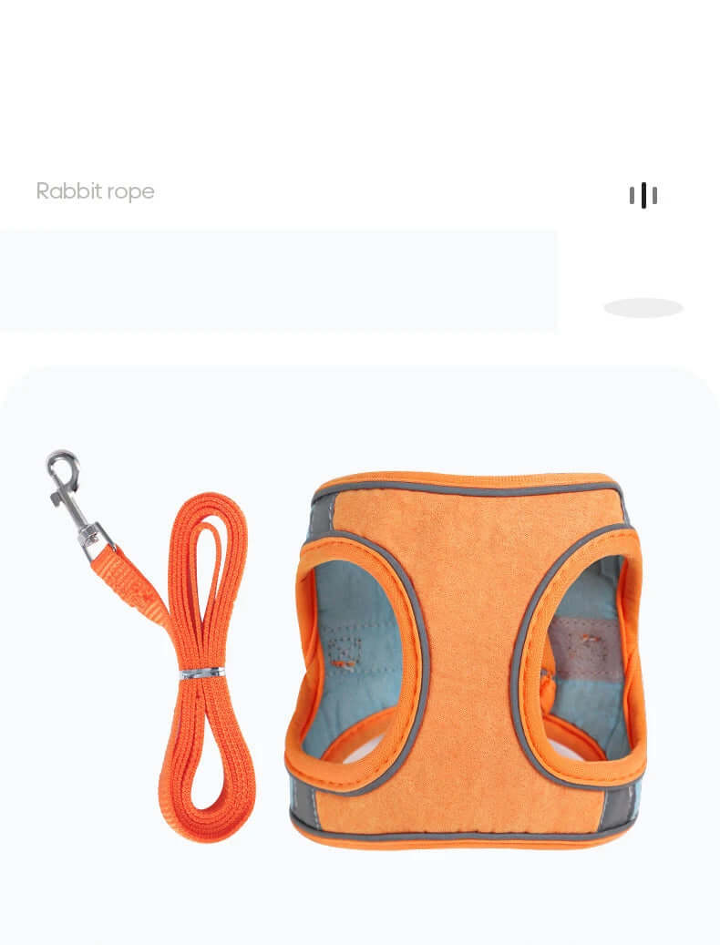 Rabbit Harness and Leash Set - FurryZone