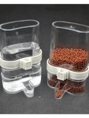 Bird Water Dispenser and Food Feeder - FurryZone