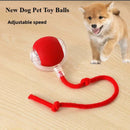 Rechargeable Smart Interactive Pet Rolling Ball Toy FurryZone