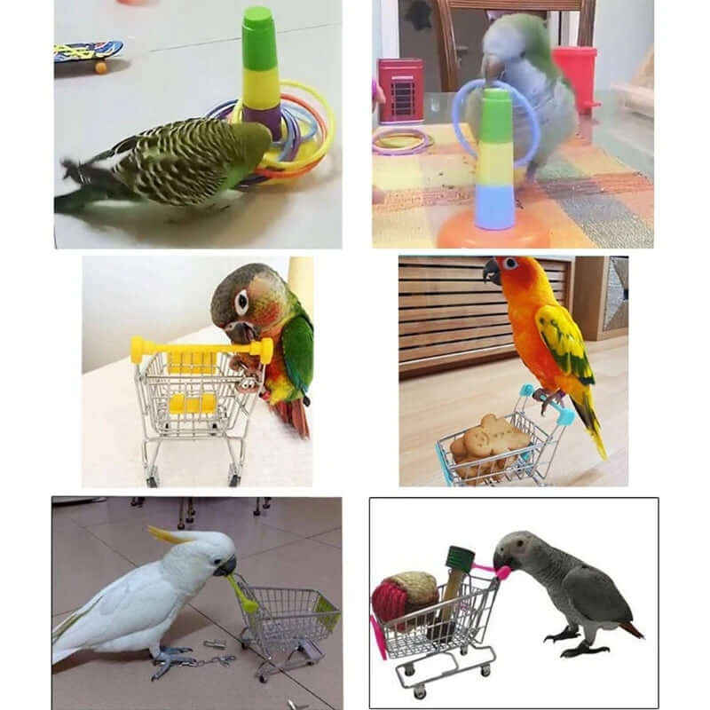 Bird Toys 4 Types Parrot Toy Set - FurryZone