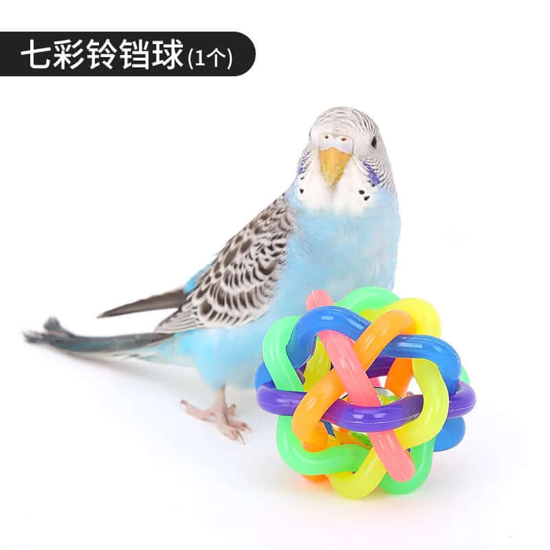 Bird Training Toy Set - FurryZone
