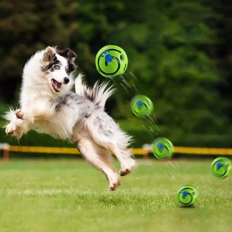 Interactive Dog Toy-Giggle Glow Ball - FurryZone