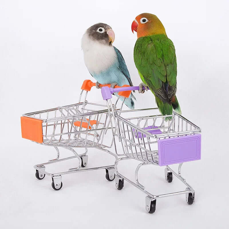 Bird Training Toy Set - FurryZone