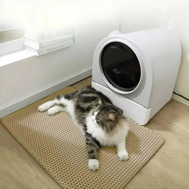 EVA Double Layer Cat Litter Mat FurryFancy