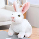 Realistic Kawaii Rabbit Plush - FurryZone