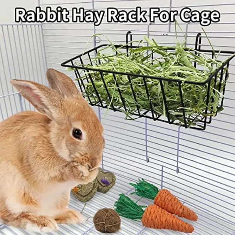 Rabbit Hay Feeder - FurryZone