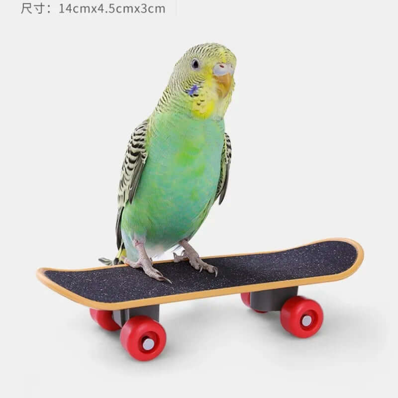 Bird Training Toy Set - FurryZone