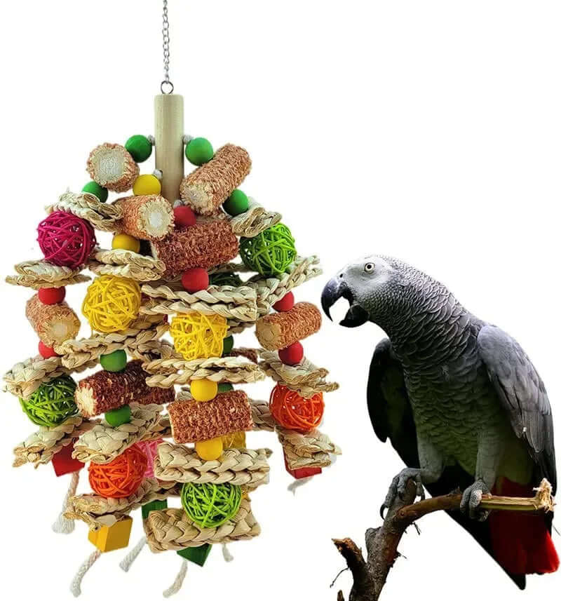Bird Swing Toy - FurryZone