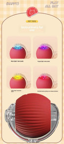 Rechargeable Smart Interactive Pet Rolling Ball Toy - FurryZone