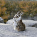 Simulated Rabbit Animal Model - FurryZone