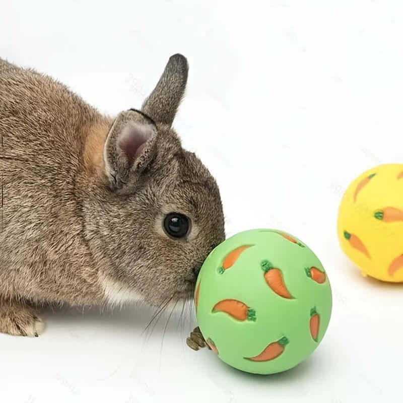 Rabbit Treat Ball Pet Slow Feeder - FurryZone